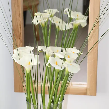 Camelia 1 - Psarou View - Private Pool And Jacuzzi *